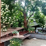 Moselhaus Tante Emma Pünderich