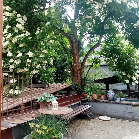 Moselhaus Tante Emma Пюндерих