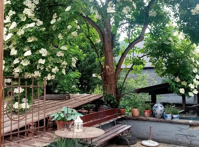 Moselhaus Tante Emma Pünderich